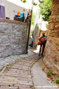 spello71