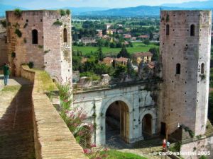 spello86