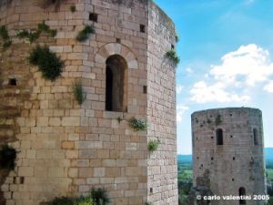 spello89