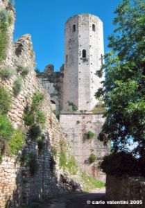 spello99