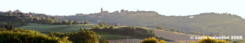 todi04