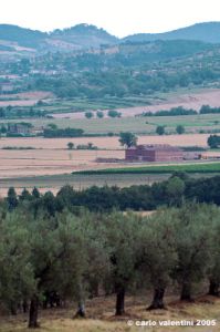 trasimeno_magione1