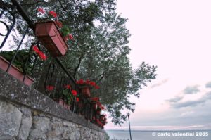 trasimeno_monte_lago07