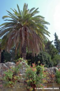 trasimeno_monte_lago35