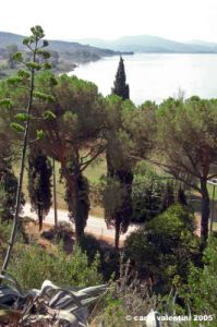 trasimeno_monte_lago37