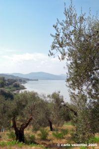 trasimeno_monte_lago40