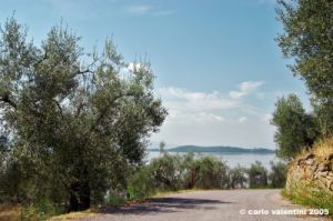 trasimeno_monte_lago41
