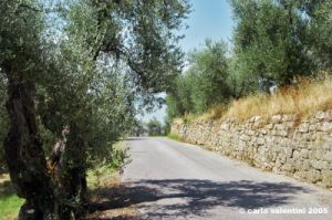 trasimeno_monte_lago46