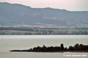 trasimeno_polvese001