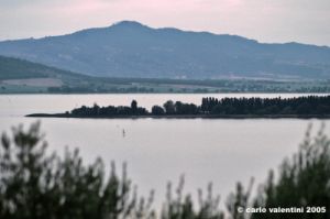 trasimeno_polvese003