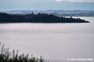 trasimeno_polvese004