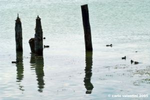 trasimeno_polvese016