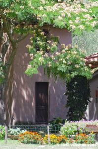 trasimeno_polvese027