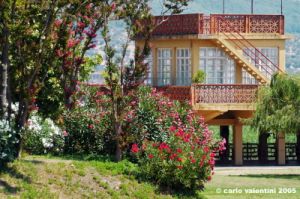 trasimeno_polvese032