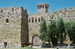 trasimeno_polvese039