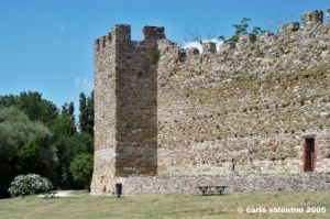 trasimeno_polvese040