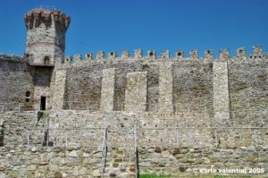 trasimeno_polvese041