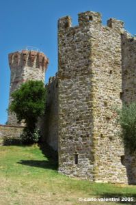 trasimeno_polvese044