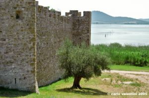 trasimeno_polvese050