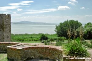 trasimeno_polvese054