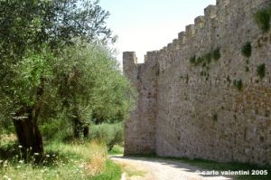 trasimeno_polvese059