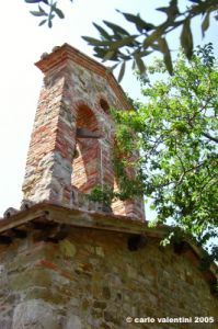 trasimeno_polvese060