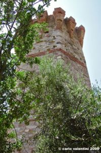 trasimeno_polvese062