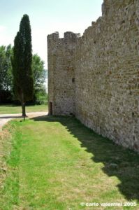 trasimeno_polvese068