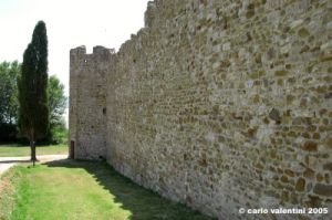 trasimeno_polvese069