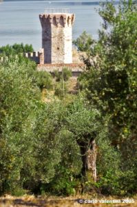 trasimeno_polvese093