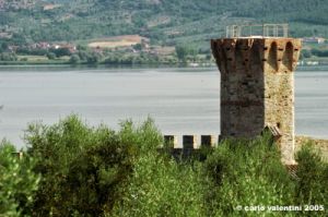 trasimeno_polvese099