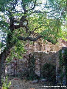 trasimeno_polvese_sansecondo07