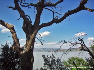 trasimeno_polvese_sansecondo10