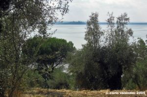 trasimeno_polvese_sansecondo21