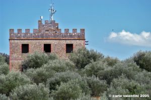trasimeno_polvese_sansecondo30
