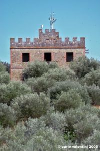 trasimeno_polvese_sansecondo31