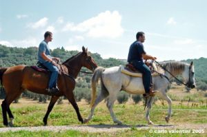 trasimeno_zocco09