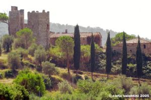 trasimeno_zocco20