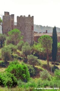 trasimeno_zocco21