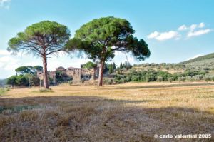 trasimeno_zocco27