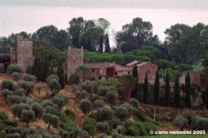 trasimeno_zocco3