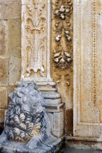 trevi860827o69