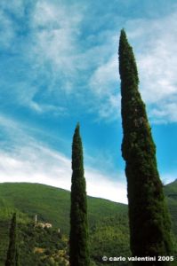 umbriano10