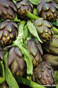 carciofi1