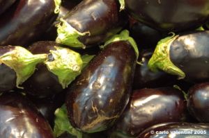melanzane2