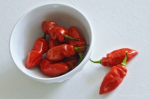 peperoncino038