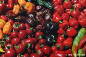 peperoncino08