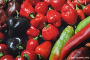 peperoncino09