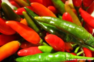 peperoncino2