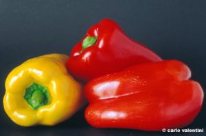 peperoni573_37